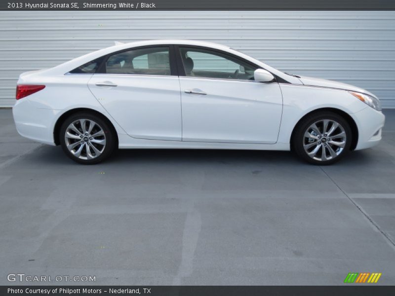 Shimmering White / Black 2013 Hyundai Sonata SE