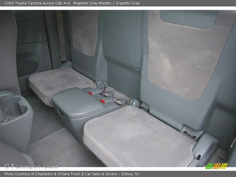 Magnetic Gray Metallic / Graphite Gray 2009 Toyota Tacoma Access Cab 4x4