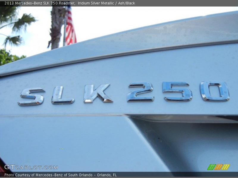  2013 SLK 250 Roadster Logo