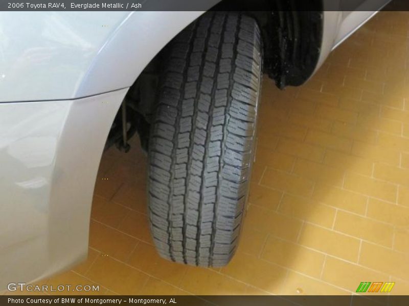 Everglade Metallic / Ash 2006 Toyota RAV4