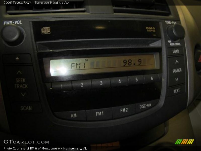 Everglade Metallic / Ash 2006 Toyota RAV4