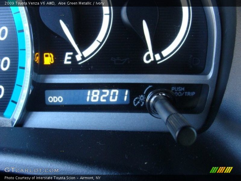 Aloe Green Metallic / Ivory 2009 Toyota Venza V6 AWD