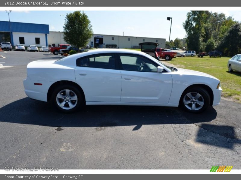Bright White / Black 2012 Dodge Charger SE