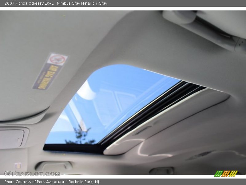 Nimbus Gray Metallic / Gray 2007 Honda Odyssey EX-L
