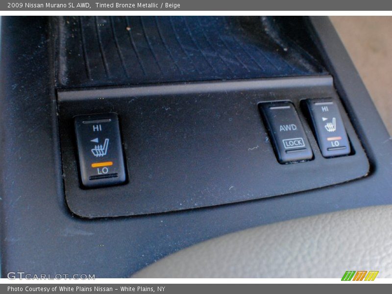 Tinted Bronze Metallic / Beige 2009 Nissan Murano SL AWD