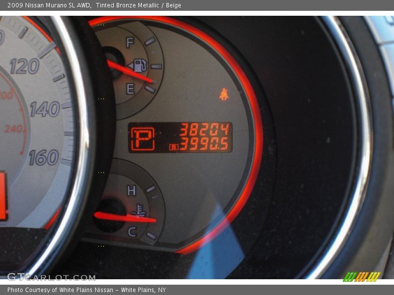 Tinted Bronze Metallic / Beige 2009 Nissan Murano SL AWD