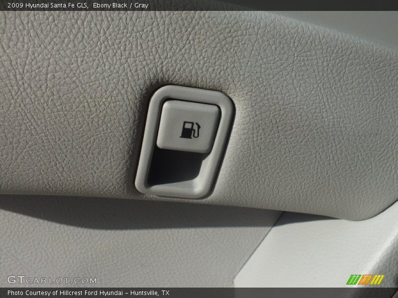 Ebony Black / Gray 2009 Hyundai Santa Fe GLS
