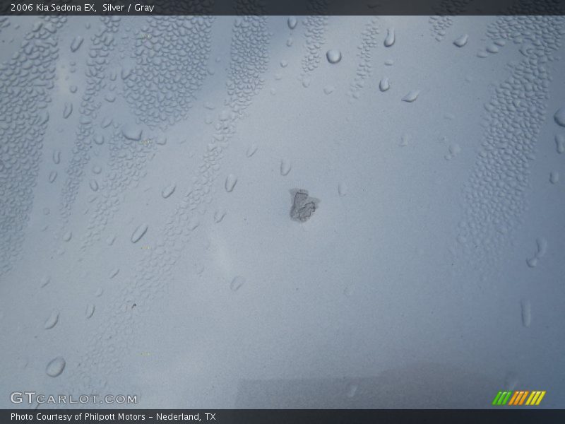 Silver / Gray 2006 Kia Sedona EX
