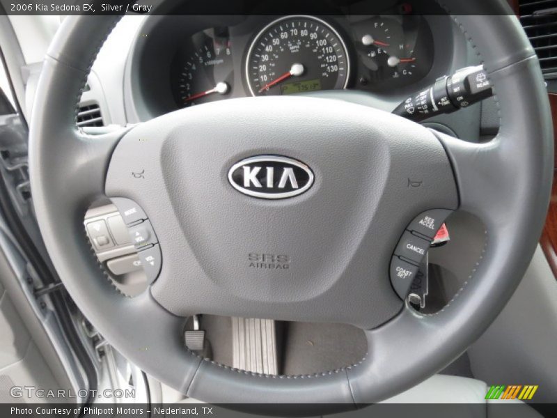 Silver / Gray 2006 Kia Sedona EX