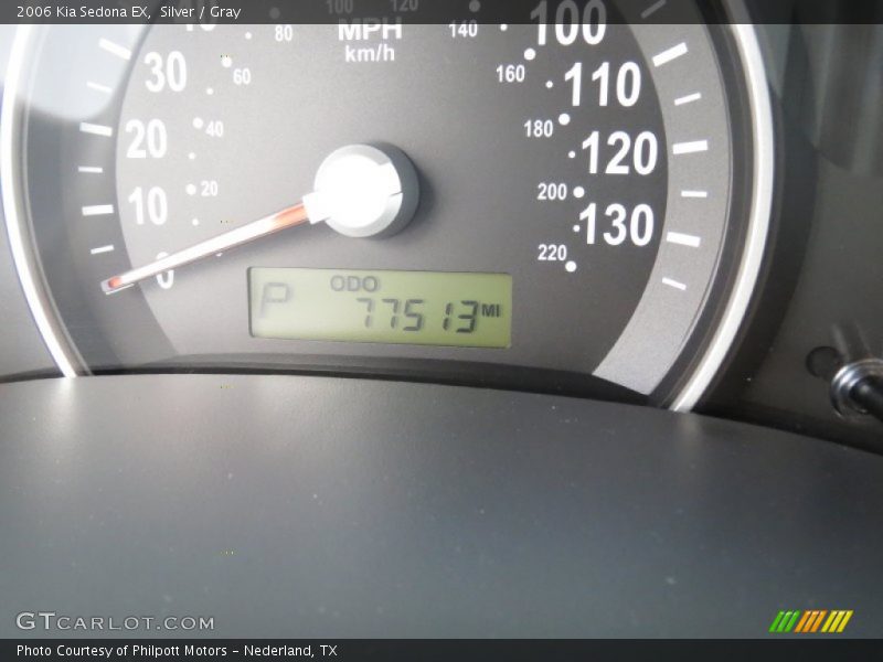 Silver / Gray 2006 Kia Sedona EX