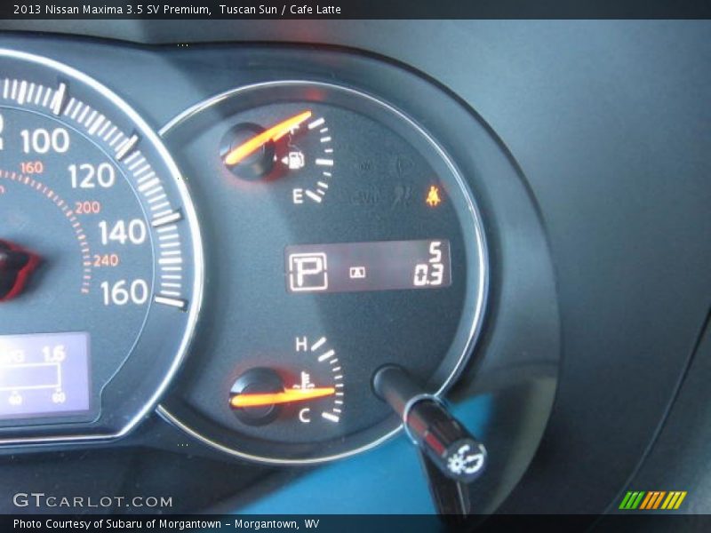 Tuscan Sun / Cafe Latte 2013 Nissan Maxima 3.5 SV Premium