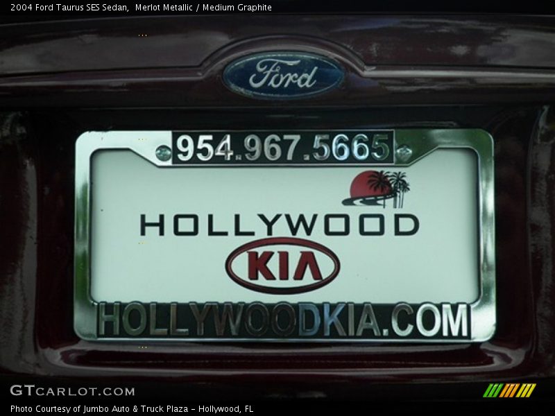 Merlot Metallic / Medium Graphite 2004 Ford Taurus SES Sedan