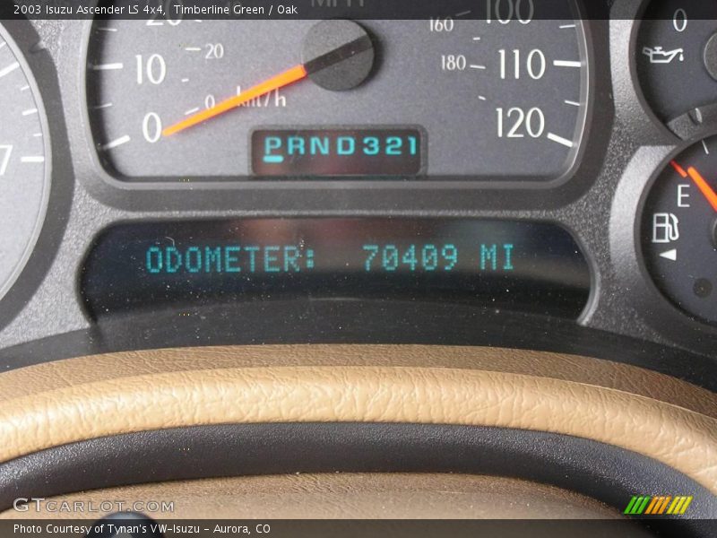 Timberline Green / Oak 2003 Isuzu Ascender LS 4x4