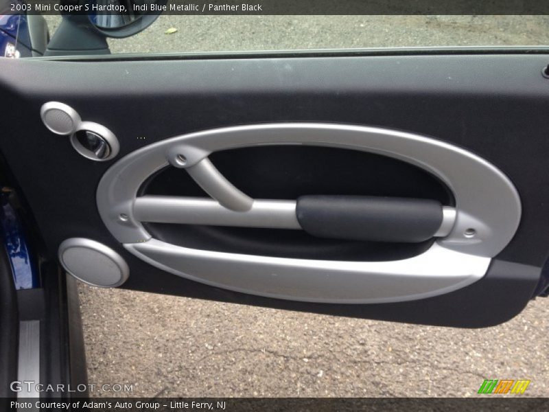 Door Panel of 2003 Cooper S Hardtop