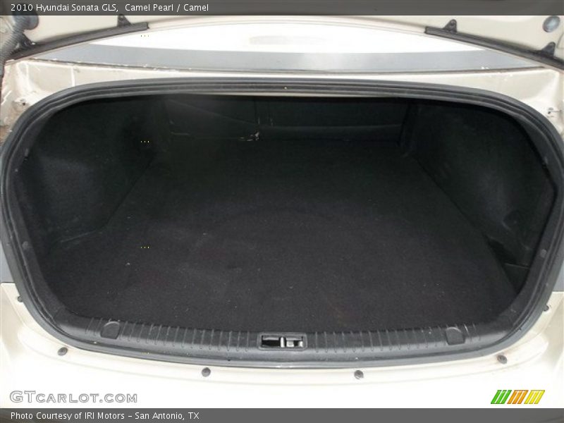 Camel Pearl / Camel 2010 Hyundai Sonata GLS