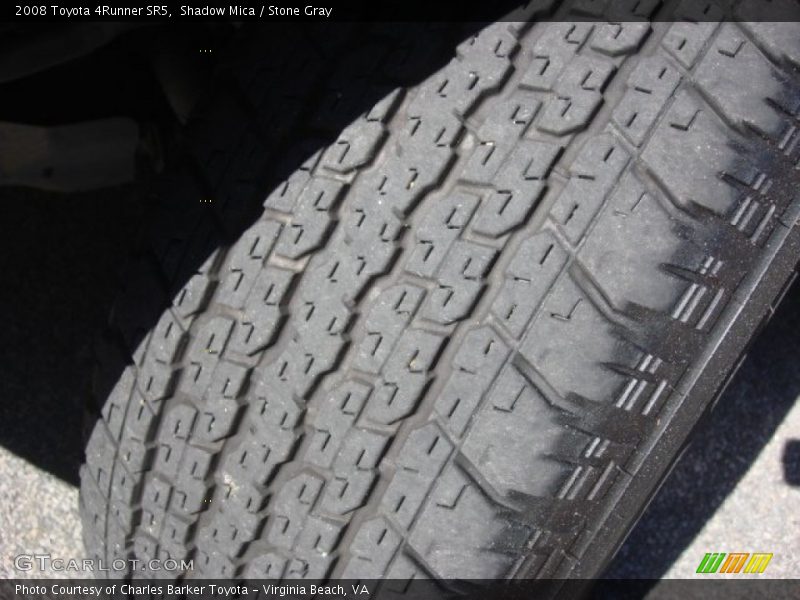 Shadow Mica / Stone Gray 2008 Toyota 4Runner SR5