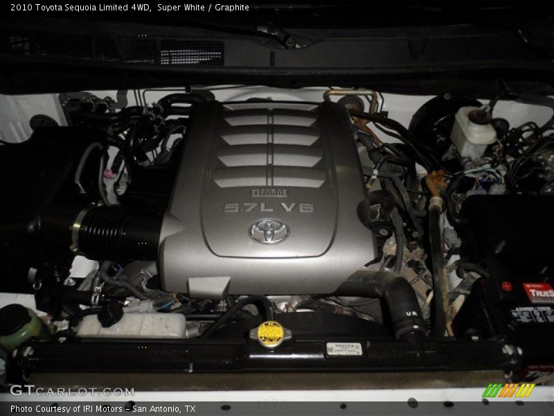 Super White / Graphite 2010 Toyota Sequoia Limited 4WD