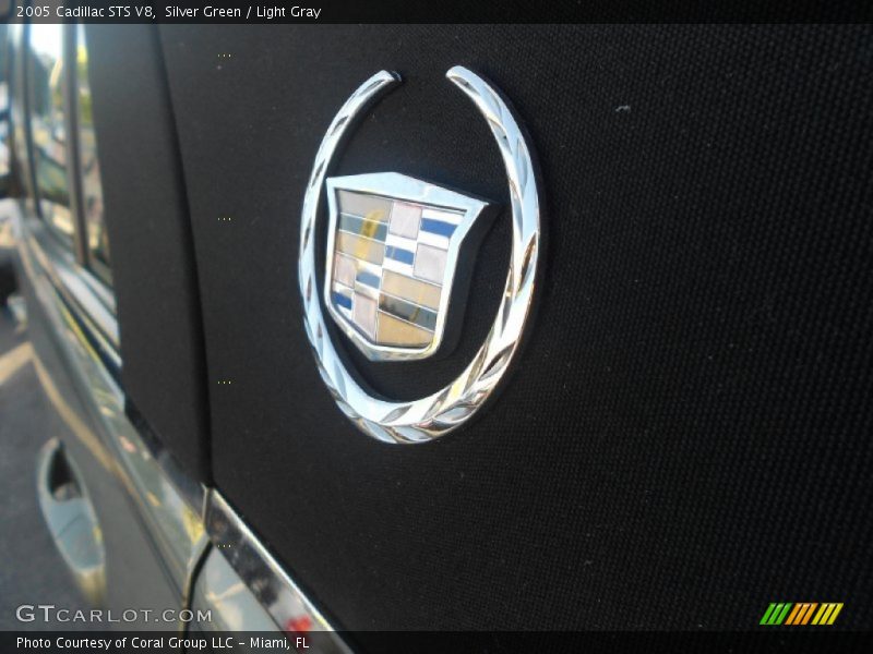 Silver Green / Light Gray 2005 Cadillac STS V8