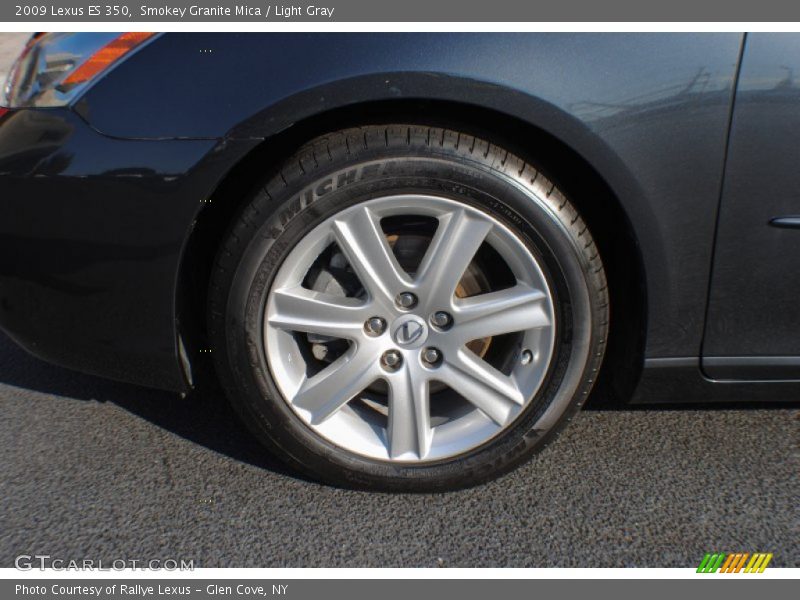 Smokey Granite Mica / Light Gray 2009 Lexus ES 350