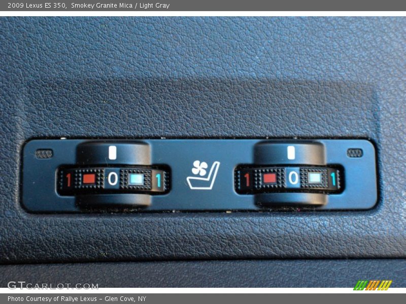 Smokey Granite Mica / Light Gray 2009 Lexus ES 350