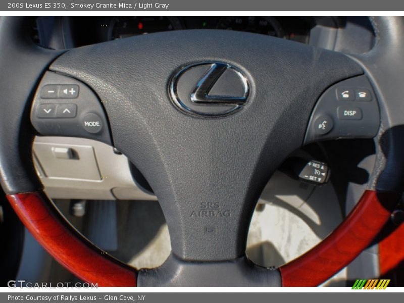 Smokey Granite Mica / Light Gray 2009 Lexus ES 350
