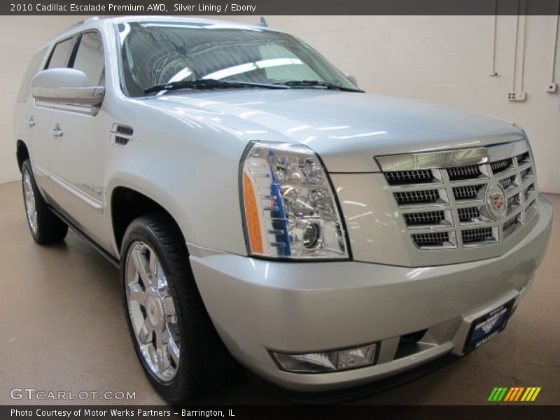 Silver Lining / Ebony 2010 Cadillac Escalade Premium AWD