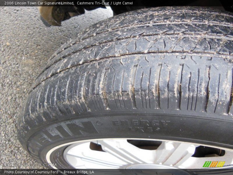 Cashmere Tri-Coat / Light Camel 2006 Lincoln Town Car Signature Limited