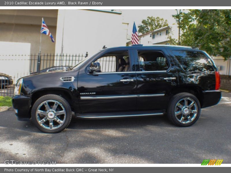 Black Raven / Ebony 2010 Cadillac Escalade Luxury AWD