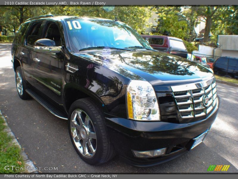 Black Raven / Ebony 2010 Cadillac Escalade Luxury AWD