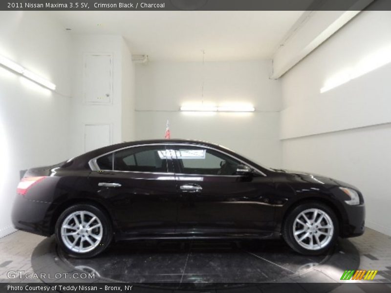 Crimson Black / Charcoal 2011 Nissan Maxima 3.5 SV