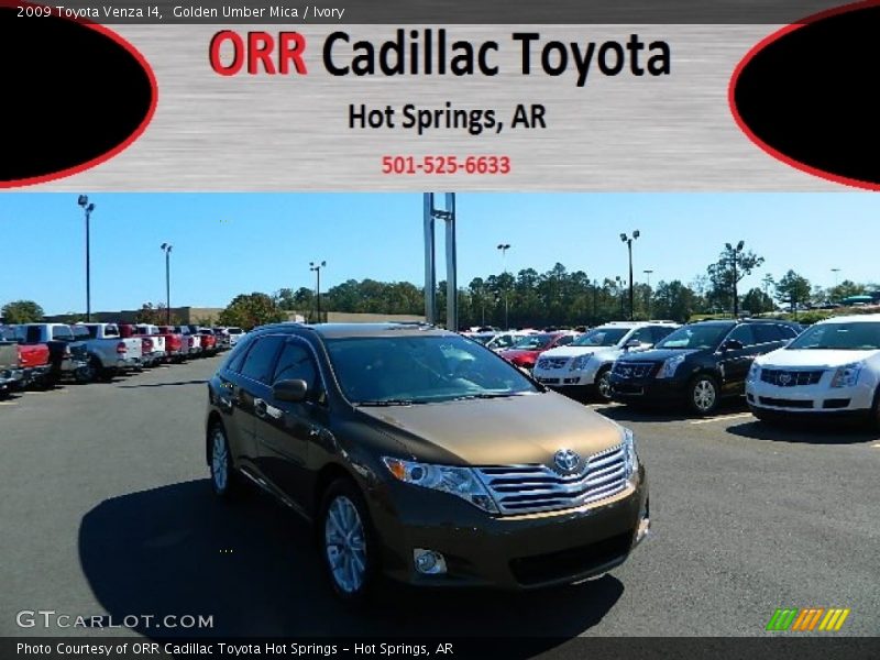 Golden Umber Mica / Ivory 2009 Toyota Venza I4