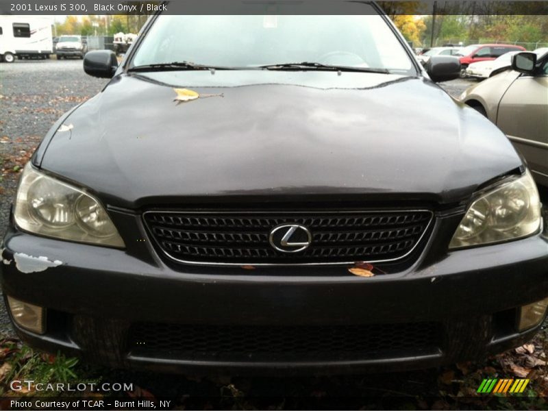 Black Onyx / Black 2001 Lexus IS 300