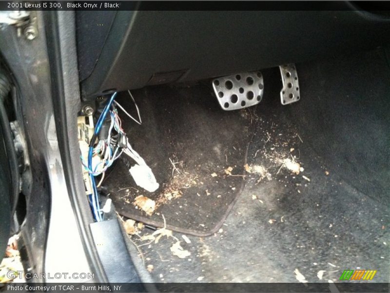 Black Onyx / Black 2001 Lexus IS 300