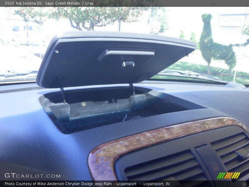 Sage Green Metallic / Gray 2005 Kia Sedona EX