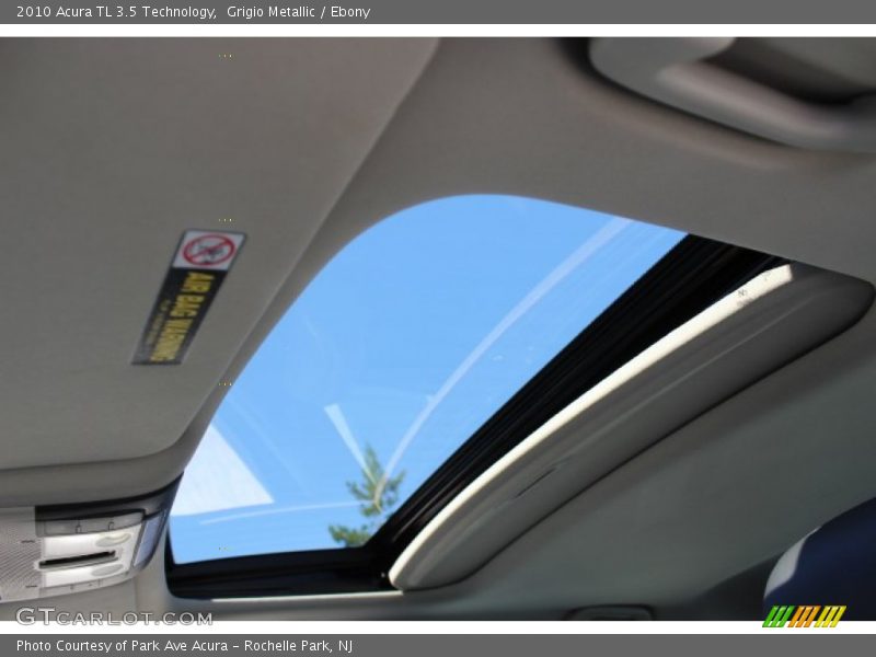Grigio Metallic / Ebony 2010 Acura TL 3.5 Technology