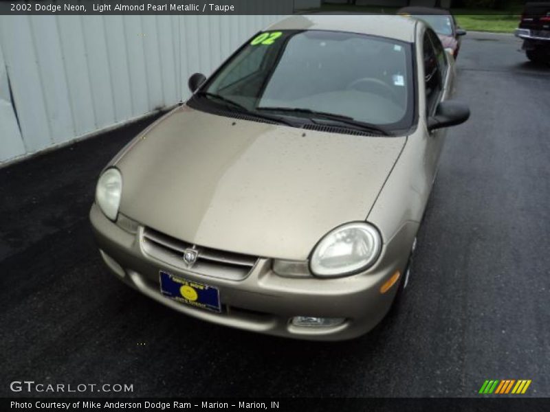 Light Almond Pearl Metallic / Taupe 2002 Dodge Neon