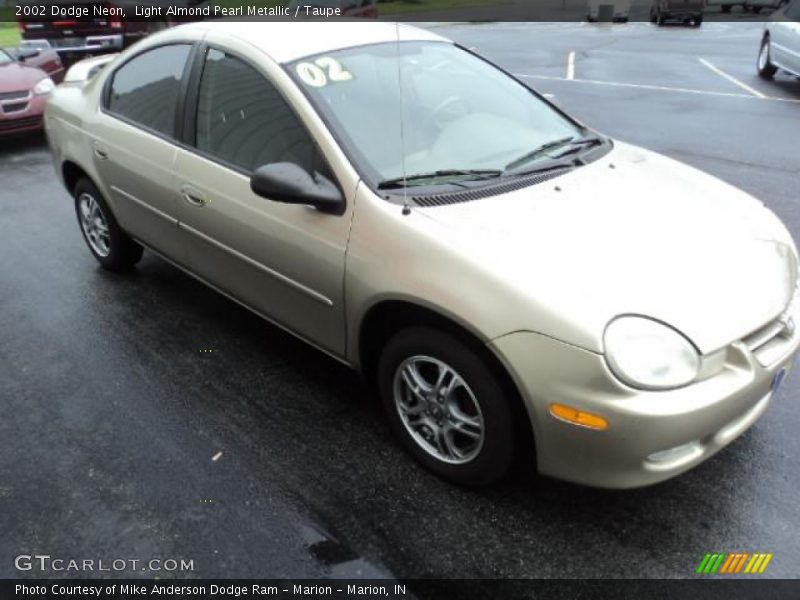 Light Almond Pearl Metallic / Taupe 2002 Dodge Neon