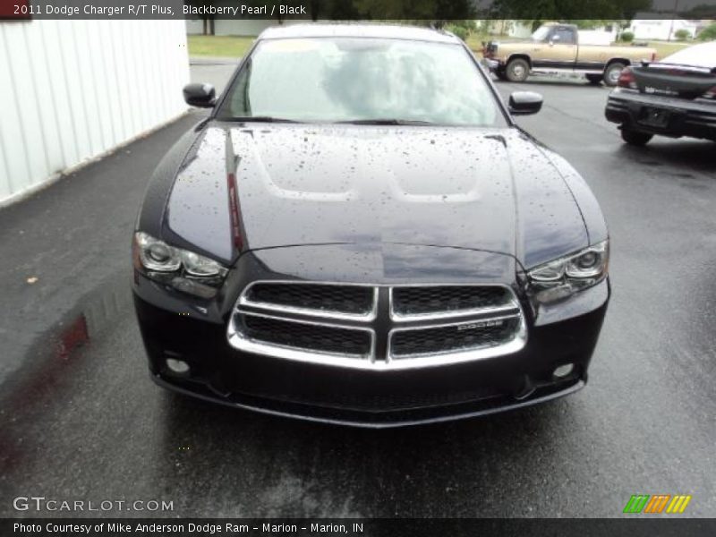 Blackberry Pearl / Black 2011 Dodge Charger R/T Plus