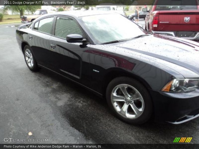 Blackberry Pearl / Black 2011 Dodge Charger R/T Plus