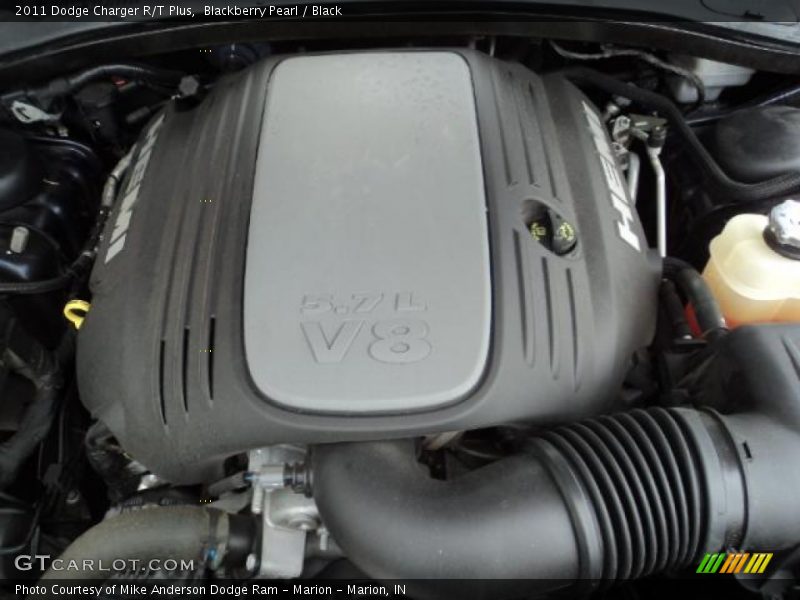 Blackberry Pearl / Black 2011 Dodge Charger R/T Plus