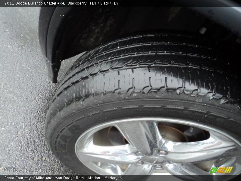 Blackberry Pearl / Black/Tan 2011 Dodge Durango Citadel 4x4