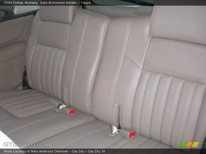 Dark Bronzemist Metallic / Taupe 2003 Pontiac Montana