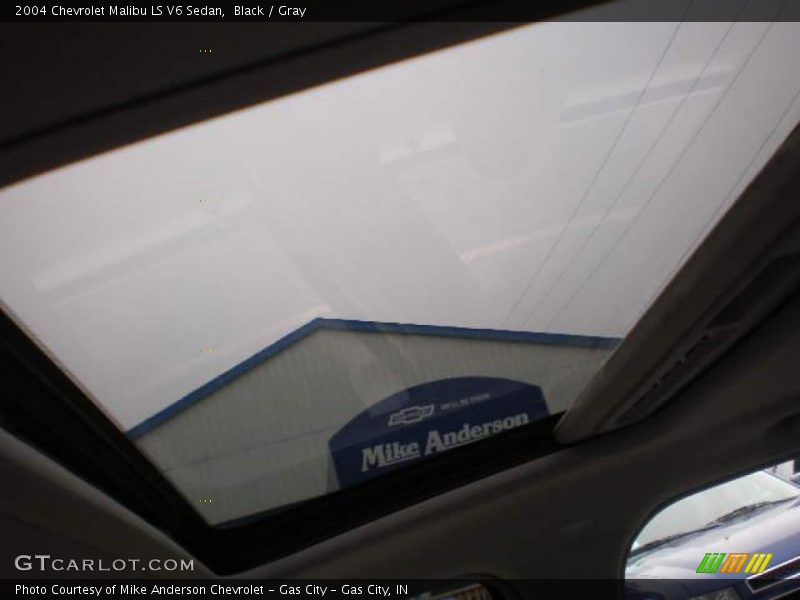 Black / Gray 2004 Chevrolet Malibu LS V6 Sedan