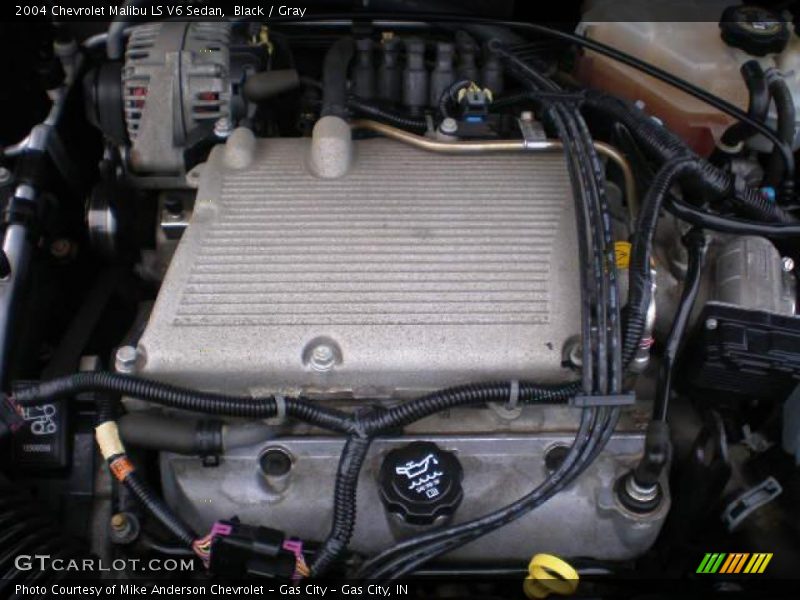 Black / Gray 2004 Chevrolet Malibu LS V6 Sedan