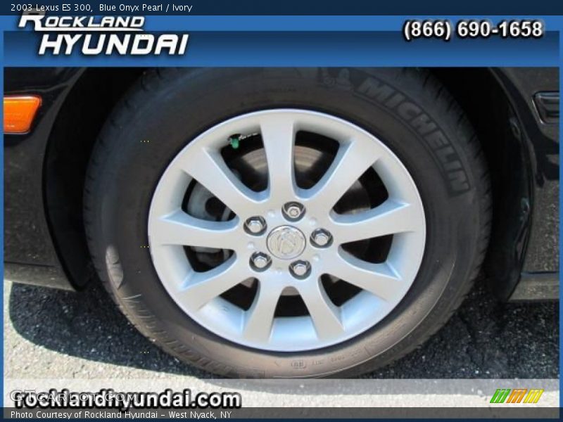 Blue Onyx Pearl / Ivory 2003 Lexus ES 300