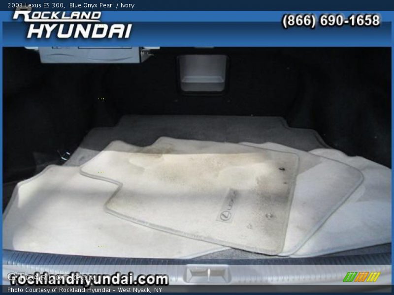 Blue Onyx Pearl / Ivory 2003 Lexus ES 300