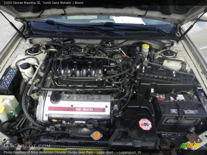 Sunlit Sand Metallic / Blond 2000 Nissan Maxima SE