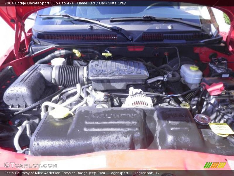 Flame Red / Dark Slate Gray 2004 Dodge Dakota Sport Club Cab 4x4