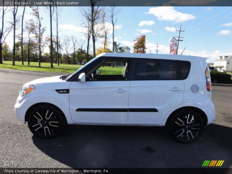 Clear White / Black Leather 2011 Kia Soul !