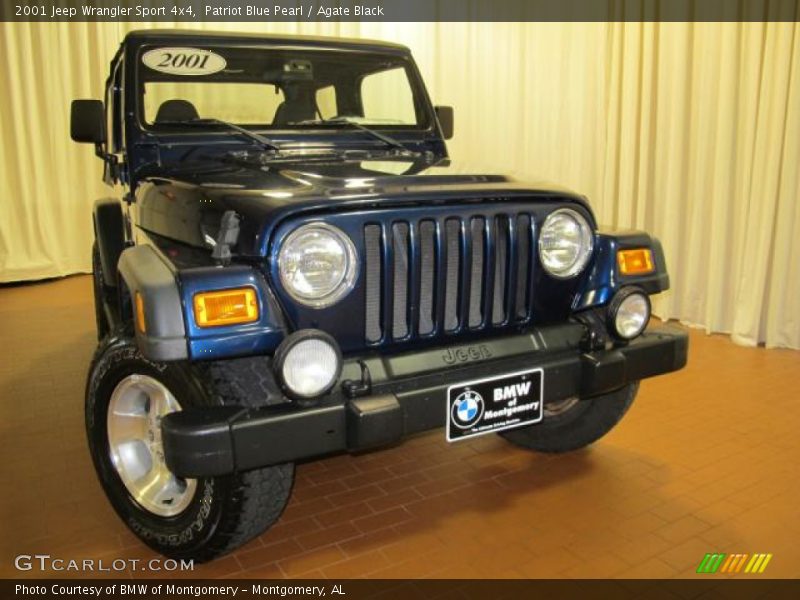 Patriot Blue Pearl / Agate Black 2001 Jeep Wrangler Sport 4x4